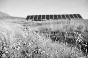 2016-02-22 18.49.12 (2)