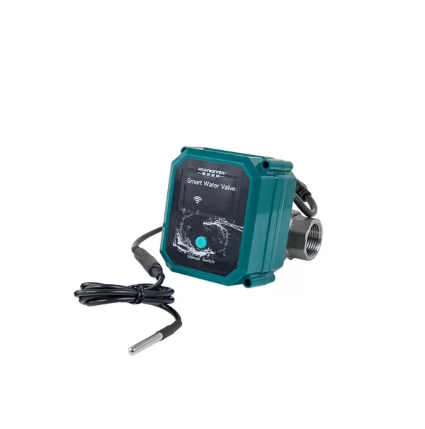 Frankever Smart Valve DN20 powered by Shelly